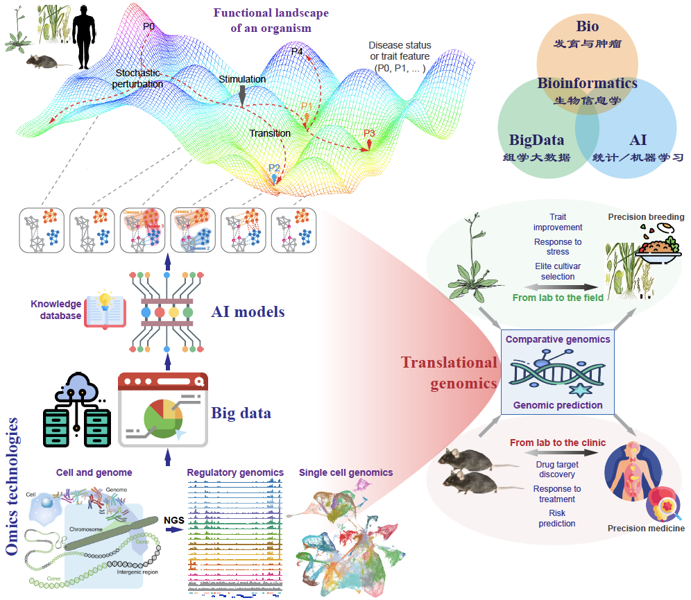 Research Topics